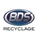 logo-bds